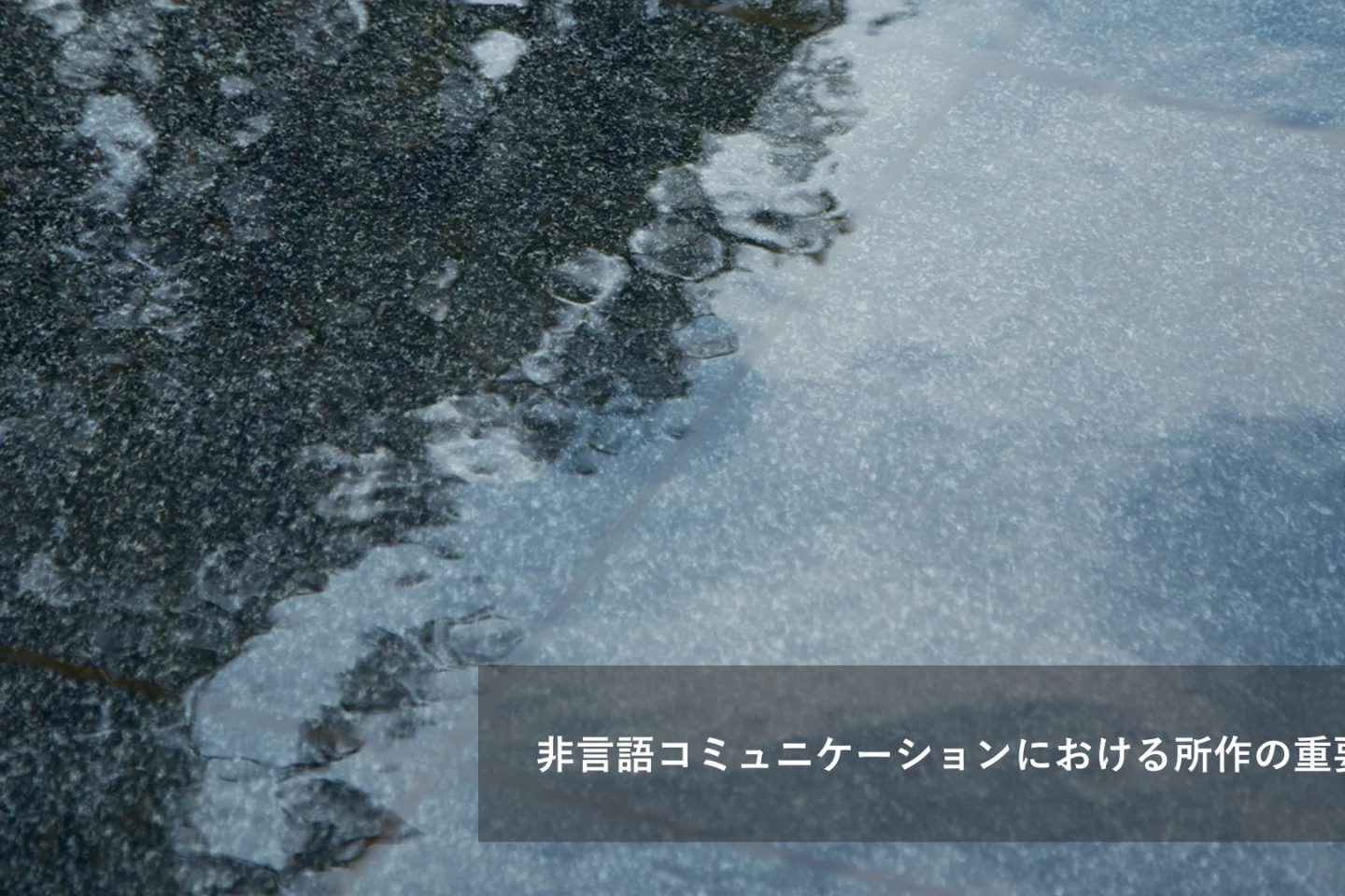 非言語コミュニケーションにおける所作の重要性